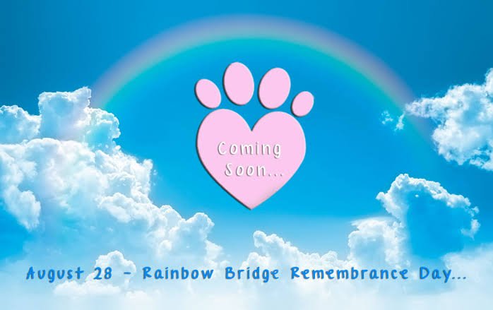 Rainbow Bridge Remembrance Day – August 28, 2022, History, Quotes ...