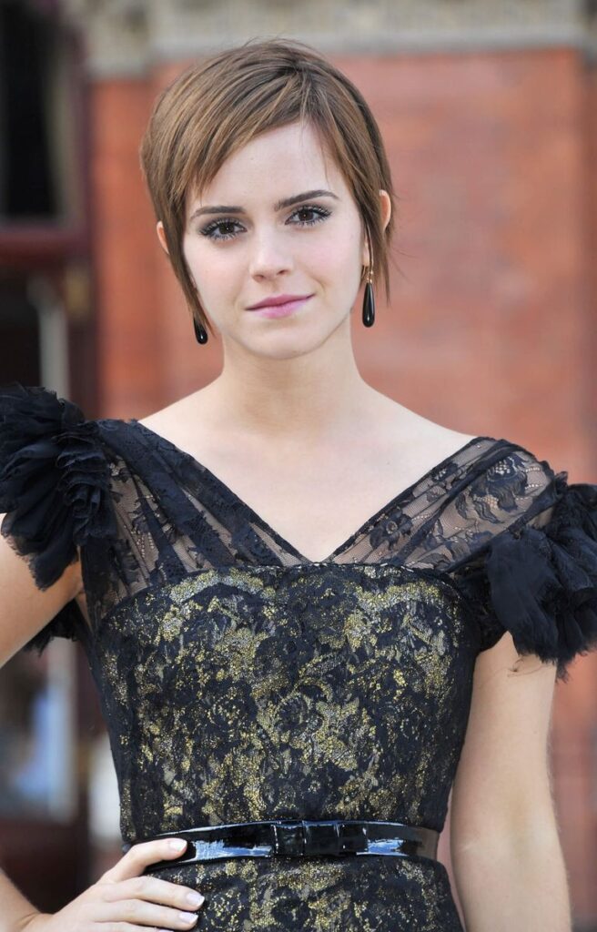 Emma Watson Biography, Wiki, Bio, Husband, Boyfriend, Family, Affair 