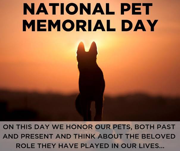 National Pet Memorial Day September 11, 2022, history, quotes, tweet