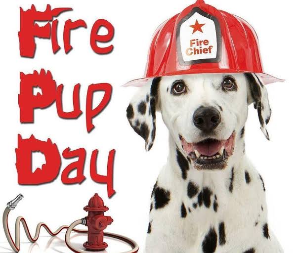 National Fire Pup Day October 1, 2022, history significance why we